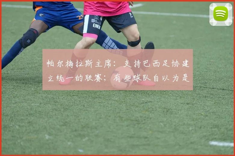 帕尔梅拉斯主席：支持巴西足协建立统一的联赛；有些球队自以为是皇马